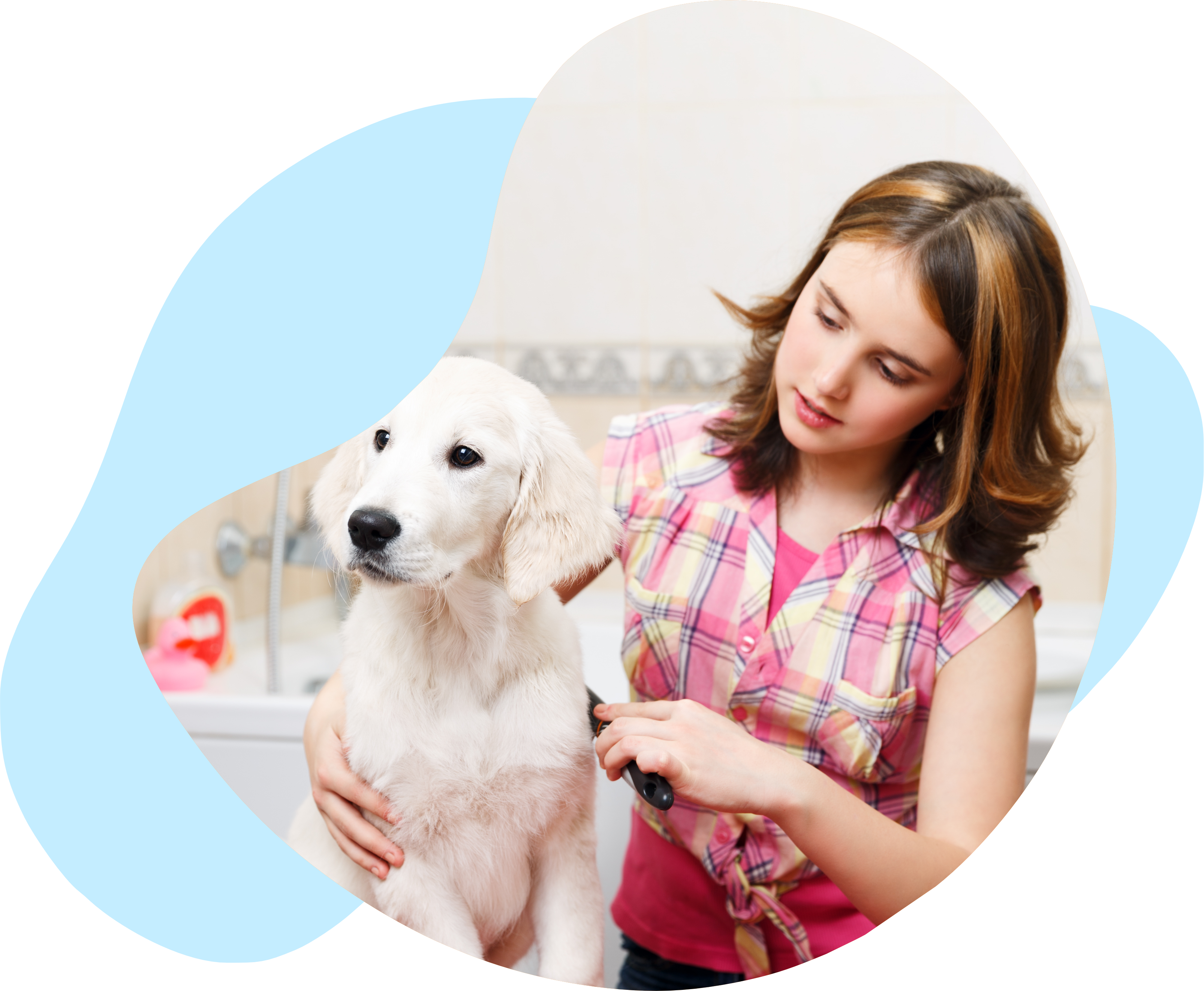 AAA-K-9-Mobile-Grooming